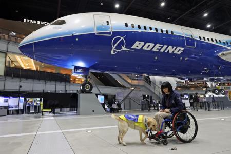 空港で未来の介助犬を育成!介助犬の卵たちがセントレ 空港で未来の介助犬を育成!介助犬の卵たちがセントレ