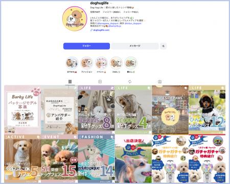 【Dog Hug Life】Instagramの累計閲覧数が120万PVを突 【Dog Hug Life】Instagramの累計閲覧数が120万PVを突