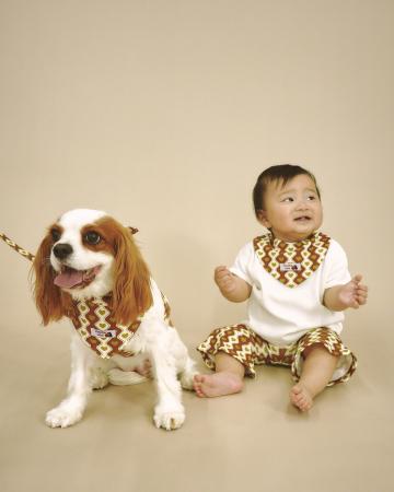 “ペットも家族時代”に応えるキッズ・ベビー×ワンちゃ