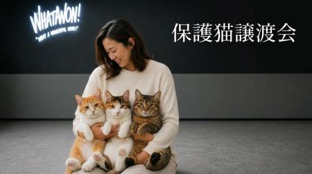 “運命の出会い”を待つ猫たちが、WHATAWONへ。保護猫譲