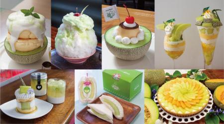 初夏を彩る、みずみずしい緑。茨城県ブランドメロン「