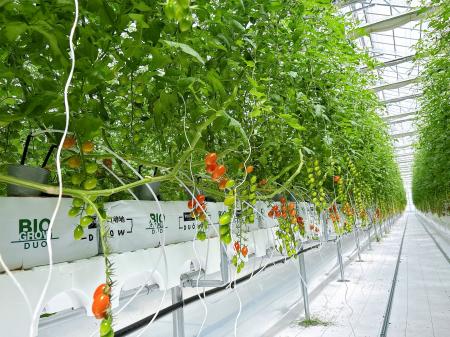 原油や天然ガスで製造した化学肥料を窒素源として使わ 原油や天然ガスで製造した化学肥料を窒素源として使わ