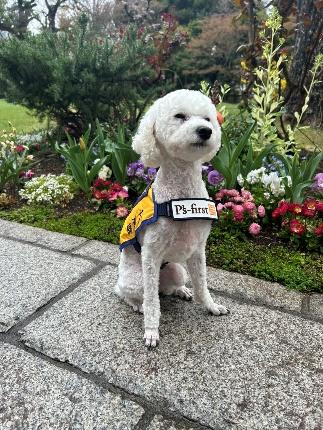 ペッツファーストグループ CSR活動「Pets always come