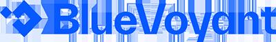 社内外・サプライチェーンを横断防御　BlueVoyant社「