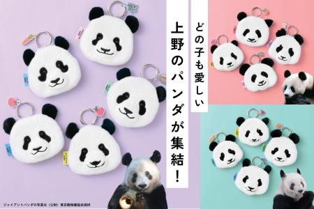 上野動物園の歴代パンダ13頭が勢ぞろい！カンカン・ラ