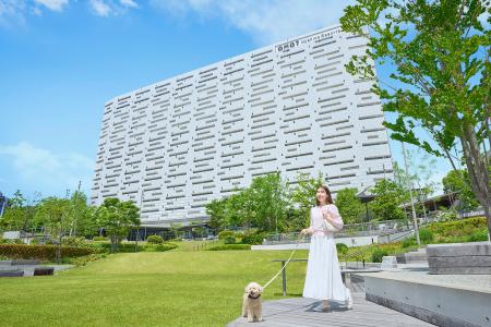 【OMO7大阪】新世界や大阪定番観光スポットなど、愛犬