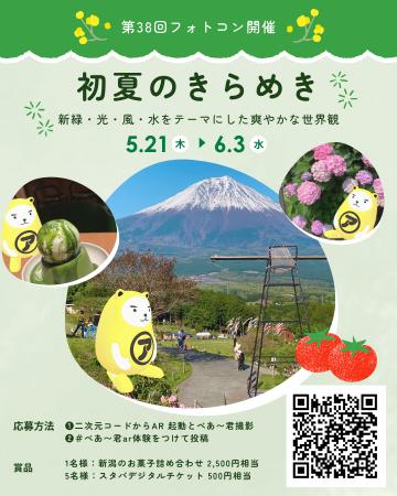 「初夏のきらめき」でシェア第38回 べあ~君ARフォト 「初夏のきらめき」でシェア第38回 べあ~君ARフォト
