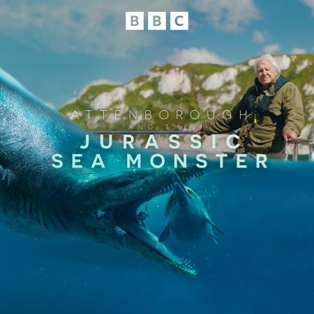 【海洋環境や生態系の大切さ保全の方法を考える】6月8 【海洋環境や生態系の大切さ保全の方法を考える】6月8