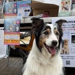 相次ぐ地震で高まる“ペット防災”への関心。災害時のニ 相次ぐ地震で高まる“ペット防災”への関心。災害時のニ