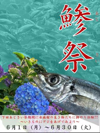 【下田海中水族館】水族館の鯵祭（あじさい）開催！？