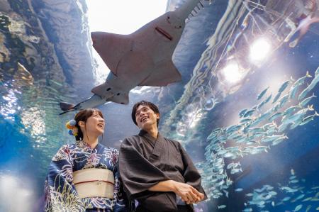 水族館でひんやり、はんなりと。夏の風情を愉しむ「浴 水族館でひんやり、はんなりと。夏の風情を愉しむ「浴