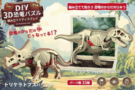 骨はもちろん臓器パーツも！？ド迫力の「ティラノサウ