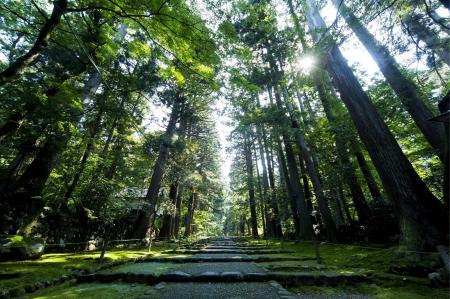 【JAM福井勝山東急ホテル&リゾーツ】白山平泉寺の静 【JAM福井勝山東急ホテル&リゾーツ】白山平泉寺の静