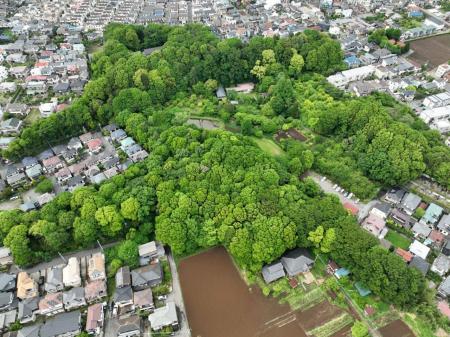 自然共生サイト「下田の杜」の保全・活用支援に関する 自然共生サイト「下田の杜」の保全・活用支援に関する
