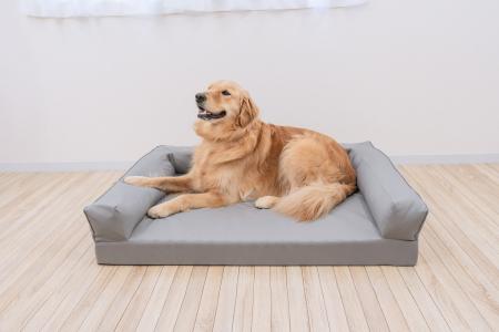 【ドッグトレーナー推奨】犬・猫の“ここが落ち着く”を