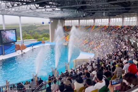白浜の夏を、ペンギンが凍らせる！？真夏の『ワイルド