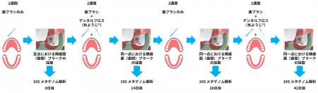 糸ようじ(R)による歯間清掃が口腔内細菌叢を健全なバ 糸ようじ(R)による歯間清掃が口腔内細菌叢を健全なバ