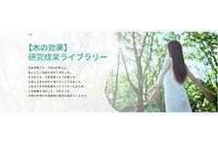 木の効果の研究成果が分かるWebサイト開設 ~木材の 木の効果の研究成果が分かるWebサイト開設 ~木材の