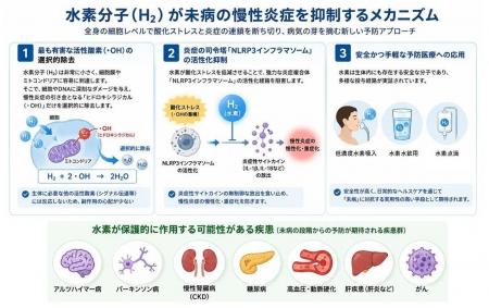 低濃度水素が「未病」の慢性炎症を抑制する可能性｜Mi