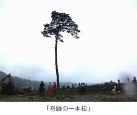 東日本大震災の津波被害を乗り越え、復興の象徴と...