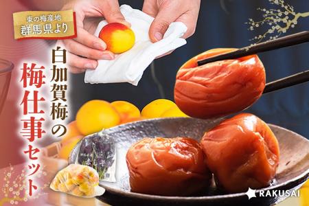 今年の初夏は“マイ梅干し”作りに挑戦！白加賀梅の『梅