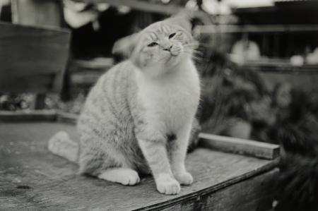 アイデムフォトギャラリー［シリウス］ 遠藤 晶　写真