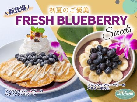 【La・Ohana(ラ・オハナ)】ハワイの風を感じる初夏の 【La・Ohana(ラ・オハナ)】ハワイの風を感じる初夏の
