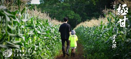 【毎年完売♪】ひと口目で感動する、夏だけの味わい。“