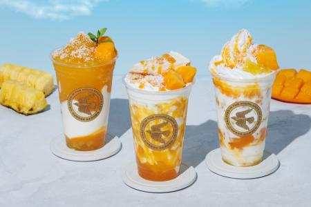 【チーズガーデン】初夏を鮮やかに彩るリゾートライク 【チーズガーデン】初夏を鮮やかに彩るリゾートライク