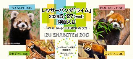 【伊豆シャボテンリゾート株式会社50周年記念】伊豆シ 【伊豆シャボテンリゾート株式会社50周年記念】伊豆シ