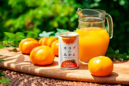 和歌山発・温州みかん100%ジュース「カラダにみかん 和歌山発・温州みかん100%ジュース「カラダにみかん