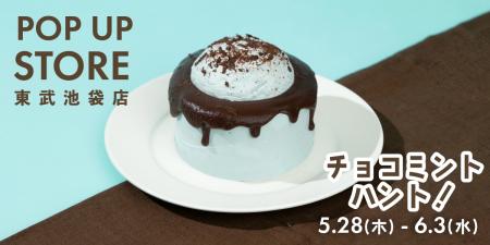 チョコミント好きのための、こだわりのシフォンケーキ チョコミント好きのための、こだわりのシフォンケーキ