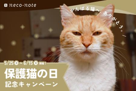 5月25日“保護猫の日”に、持続可能な動物福祉を目指す