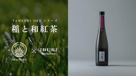 稲とアガベが、最高級ボトリングティーブランド「IBUK 稲とアガベが、最高級ボトリングティーブランド「IBUK