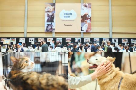 「パナソニック保護犬猫譲渡会2026」開催イベントレポ 「パナソニック保護犬猫譲渡会2026」開催イベントレポ