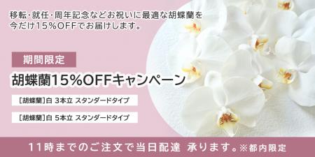 ビジネスの門出を応援する胡蝶蘭15％OFFキャンペーン