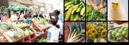 “夏先取り”イベント！産地直送の新鮮な朝採れ夏野菜が