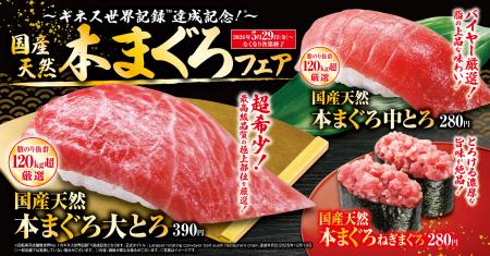 120キロ超えを厳選！くら寿司史上最高品質のマグutf-8