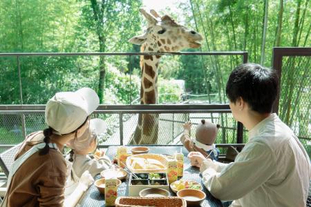 「キリンと朝食」が再開！動物園×グランピング施utf-8
