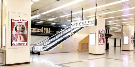 いなばペットフード 新幹線京都駅コンコースに「ちゅ いなばペットフード 新幹線京都駅コンコースに「ちゅ