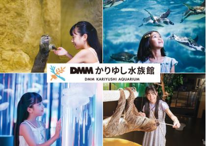 【DMMかりゆし水族館】沖縄県内の学童保育施設を対象 【DMMかりゆし水族館】沖縄県内の学童保育施設を対象