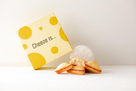 チーズスイーツブランドの「チーズイズ...」が初登 チーズスイーツブランドの「チーズイズ...」が初登