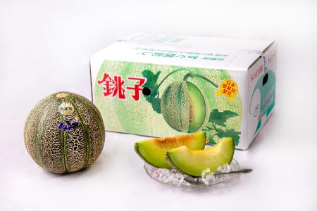 “幻のメロン”銚子メロン、6月1日今季出荷開始 utf-8 “幻のメロン”銚子メロン、6月1日今季出荷開始 utf-8