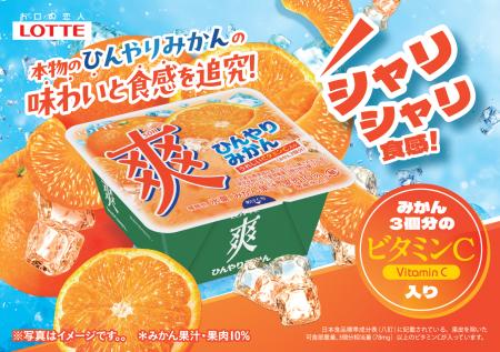 夏に無性に食べたくなる！あの、シャリシャリ食感を追