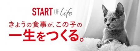 ロイヤルカナン、子猫の健やかな成長を支援する「Star