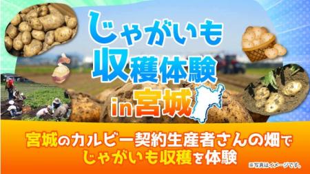 3年連続!宮城県の契約生産者の畑でファンミーティン 3年連続!宮城県の契約生産者の畑でファンミーティン
