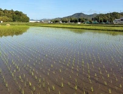Green Days Japan、丹波篠山市でネオジャパン社員・家
