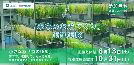 ZET-BASE KYOTOが「実証フィールド」へ。背丈20cmの稲 ZET-BASE KYOTOが「実証フィールド」へ。背丈20cmの稲