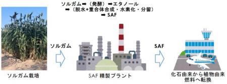 ソルガムを原料としたSAF生産事業化に向けた検討事業 ソルガムを原料としたSAF生産事業化に向けた検討事業