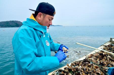 牡蠣卸直送の三陸産生牡蠣が1個100円(税別) 牡蠣卸直送の三陸産生牡蠣が1個100円(税別)